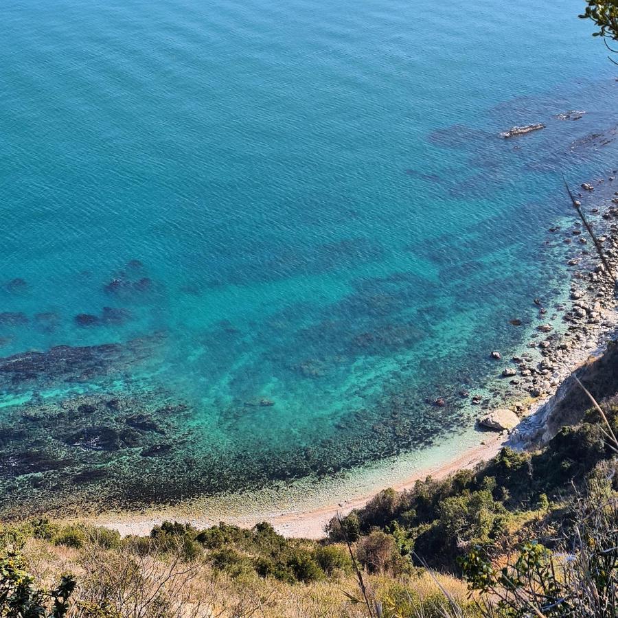La Pinetina Apartman Ancona Kültér fotó